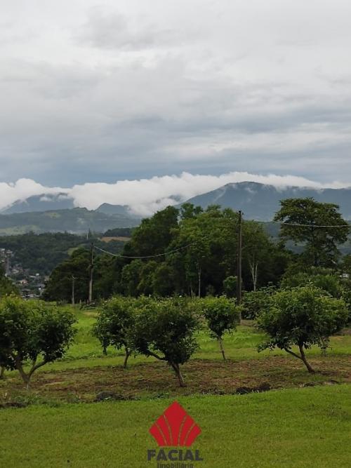 Imóvel 2183